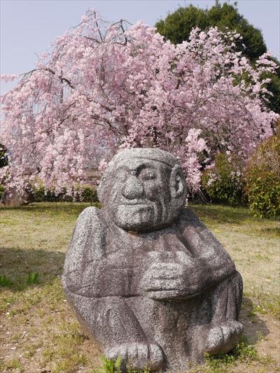 庭園のの猿石（僧）と桜の写真