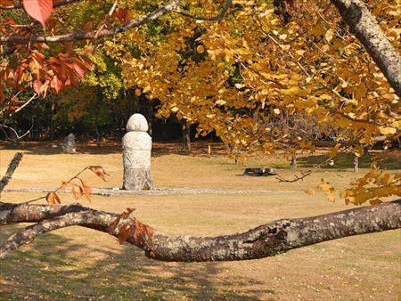庭園の須弥山石と紅葉の写真