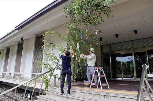 入口で大きな笹に飾り付けをしている2人の画像