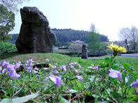 庭園の猿石の写真