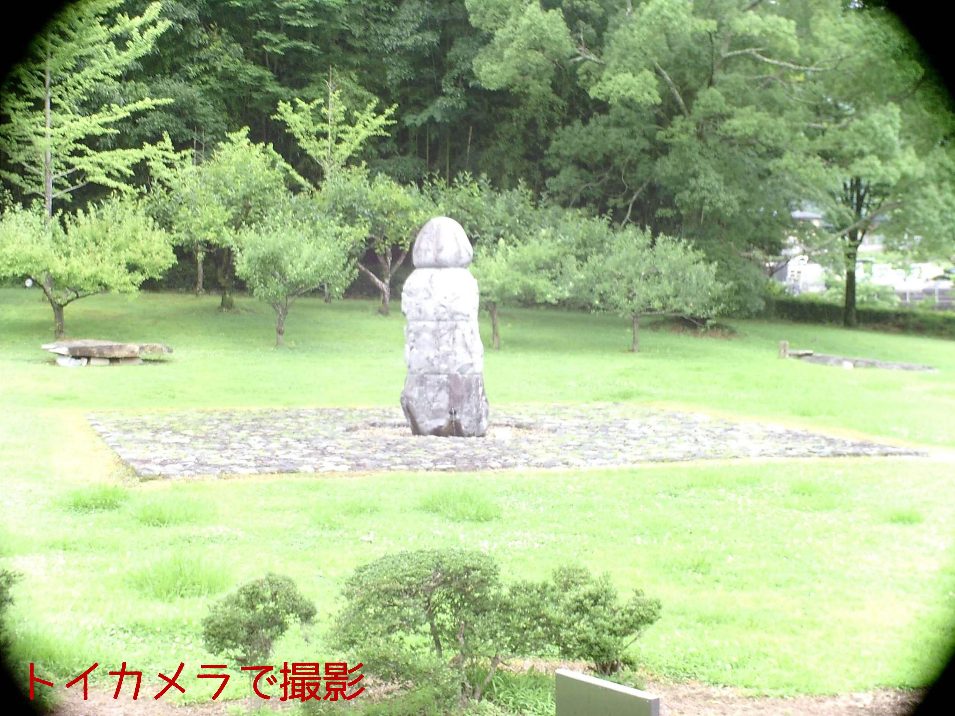 トイカメラで撮った庭園の須弥山石