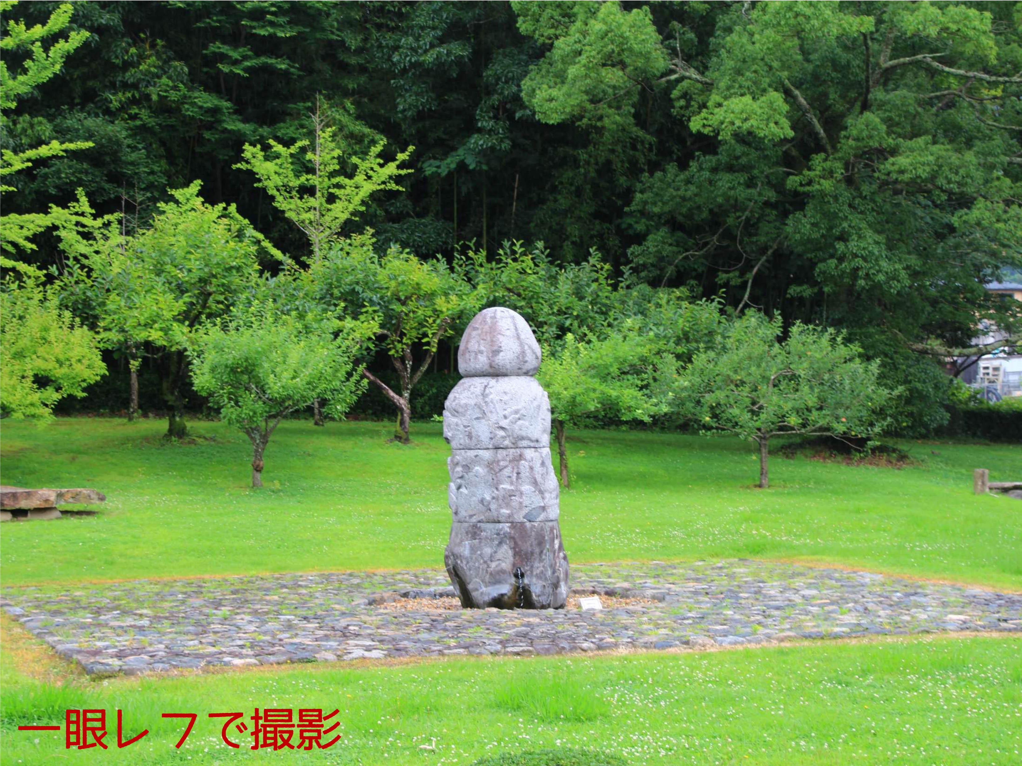 一眼レフカメラで撮った庭園の須弥山石"