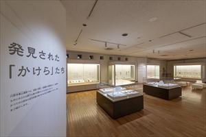展示室の様子