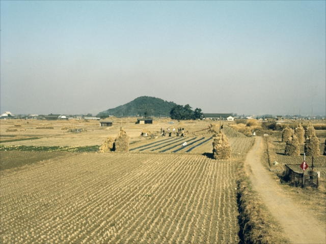 昭和45年（1970）の藤原宮跡の写真