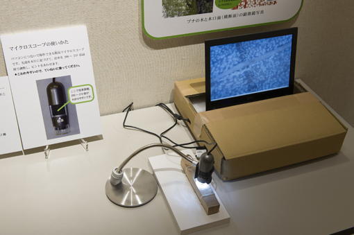 マイクロスコープの写真