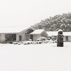 雪が降り積もる資料館庭園の写真
