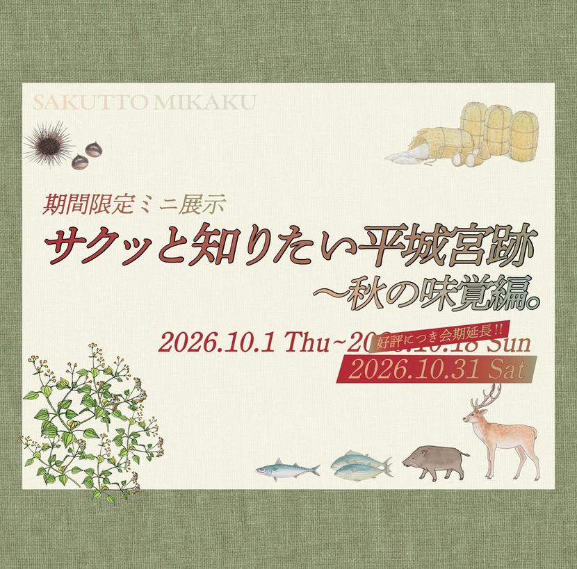 ミニ展示のチラシ