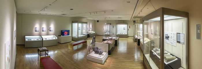 飛鳥資料館特別展の展示風景700.jpg