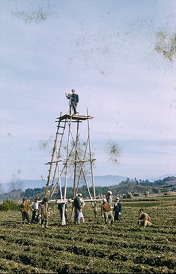 （１４４）写真が遺す歴史.jpg