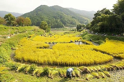 （１７）奈良の文化的景観.jpg