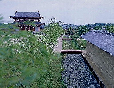 （３２）平城京の街路樹.jpg