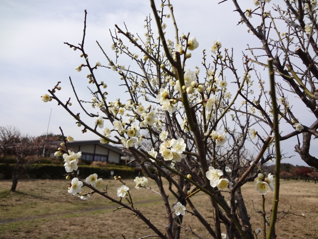 20140307_1.JPG