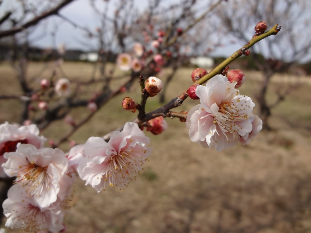 20140307_2.JPG