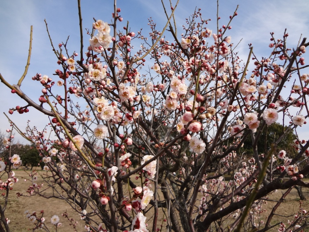 20140307_3.JPG