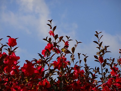 20150206_1.jpg