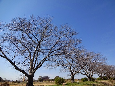 20160317_5.jpg