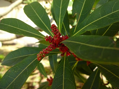 20160317_9.jpg