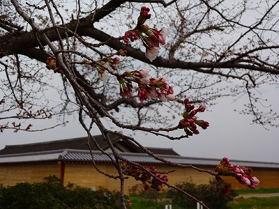 20160330_4.jpg
