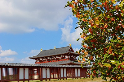 20161020_7.jpg