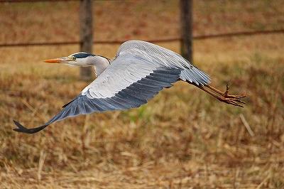 IMG_2866.jpg