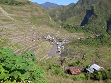 Ifugao