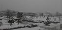 平城宮跡は雪景色