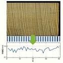 （２２）年輪から知る年代と気候