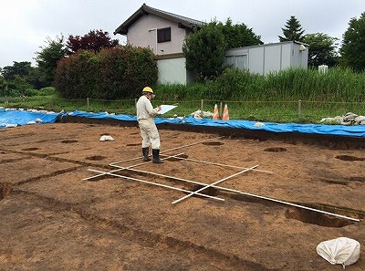 間竿を使用して掘立柱建物の記録をする奈文研職員.jpg