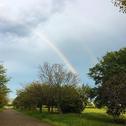 空に架かる虹