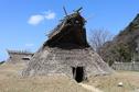 掘立柱建物に住む