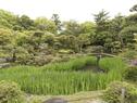 法華寺境内の庭園群