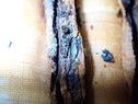 金属製遺物の保存に関する研修を開催します