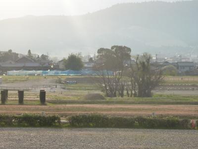 20110408_2.jpg