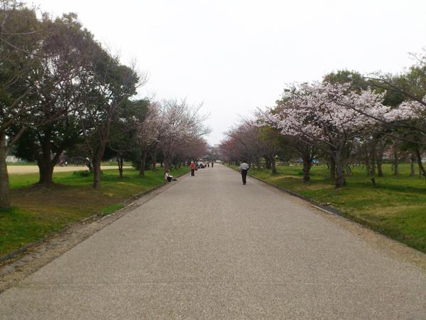 20120410_2A.jpg