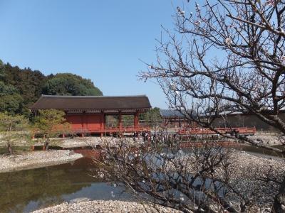 20130306_2A.jpg