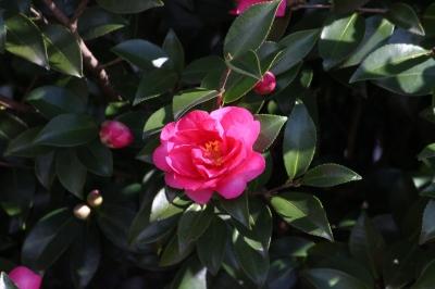 20201217_12.jpg