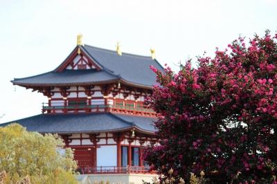 20201217_9.jpg