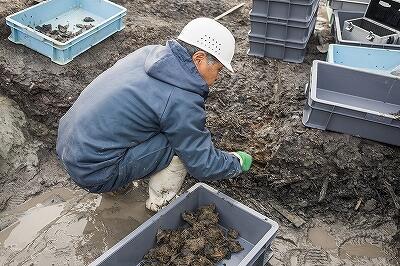 ①平城宮東方官衙のごみ穴の発掘風景.jpg