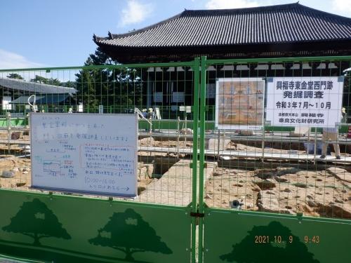 興福寺東金堂院の門と回廊の発掘調査（平城第640 次調査）の現地見学会