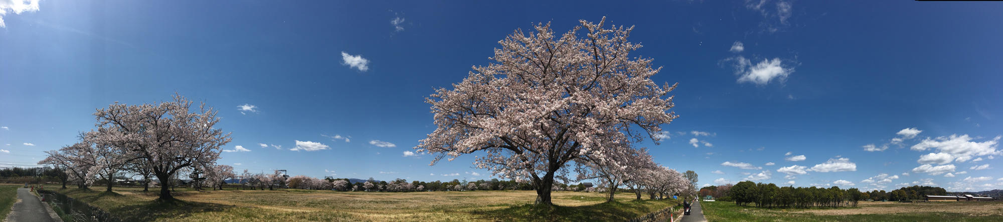 https://www.nabunken.go.jp/nabunkenblog/images/bd9a897fa6be818f86fbda0f993d032c2108bed2.jpg