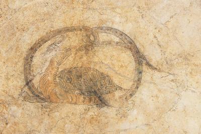 お知らせ | キトラ古墳壁画体験館 四神の館 キトラ古墳壁画保存管理施設