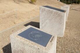 PSA10 古えの墳墓 不毛の大地 虹色の眺望 ほか13枚セット　ＺＮＥ 古えの墳墓/Ancient Tomb》[PWシンボル付き再版] 土地U | 日本最大級